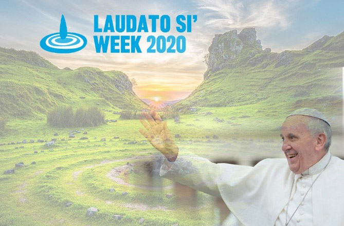 Vài cảm nghĩ về Tuần lễ Laudato Sí (từ ngày 16-24/05/2020)