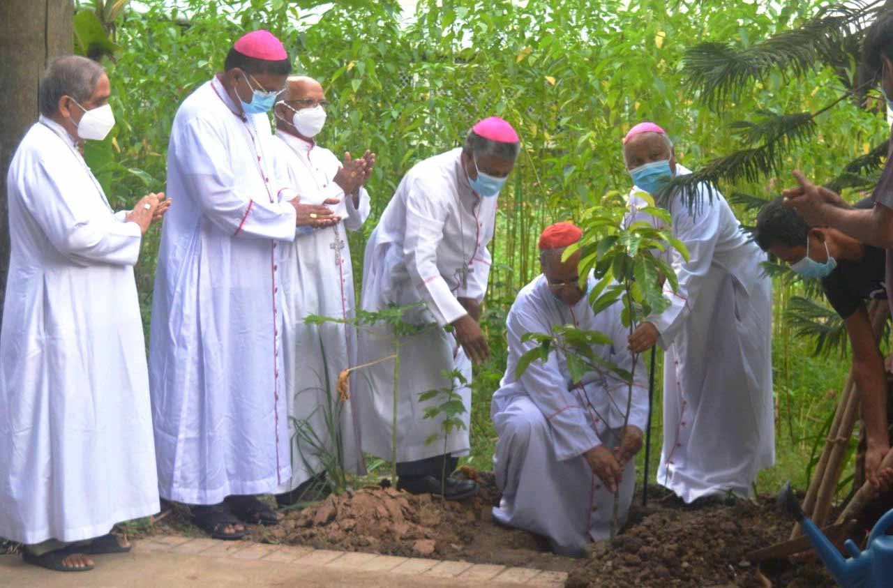 Giáo hội Bangladesh phát động chiến dịch trồng cây trong Năm 'Laudato Si'