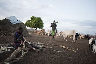 Số người chạy trốn cuộc xung đột ở Nam Sudan ngày càng tăng