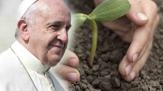 Pope Francis To Review Encyclical on Ecology This Week