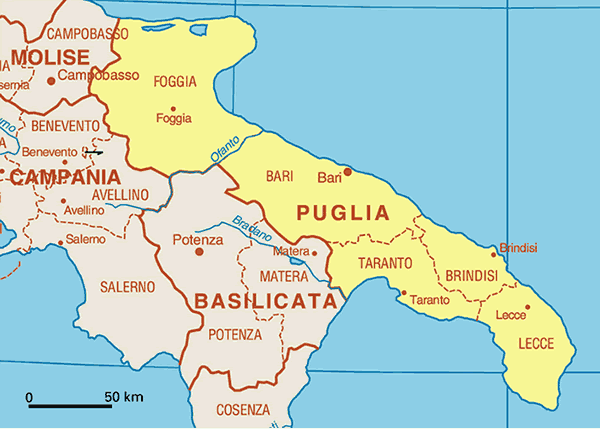Đức Thánh Cha gửi điện tín chia buồn với các nạn nhân tai nạn xe lửa trong vùng Puglia nam Italia