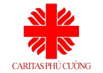 Kế hoạch hoạt động trong năm 2012 – Caritas Phú Cường