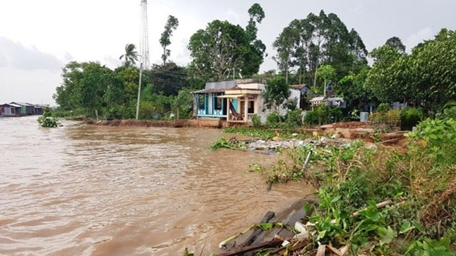 25 m bờ sông sạt lở ‘ăn’ sâu móng nhà, An Giang khẩn cấp di dời 11 hộ dân