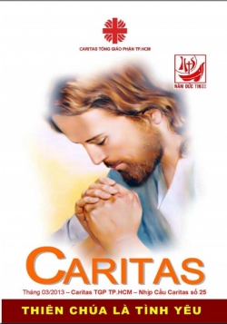Nhip cầu Caritas số 25