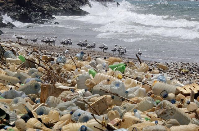 Caritas Papua New Guinea báo động về nhựa