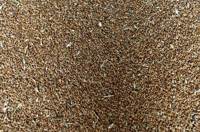 Chiến dịch quyên góp của các Giám mục Zambia giúp người dân bị đói