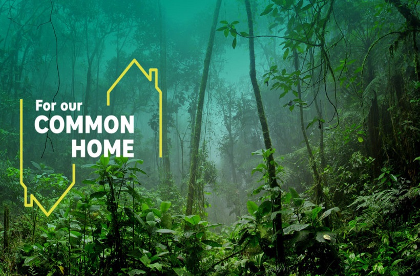 Những Tiếng Nói Trên Toàn Cầu Về Thượng Hội Đồng Giám Mục: PÊRU Và CANADA