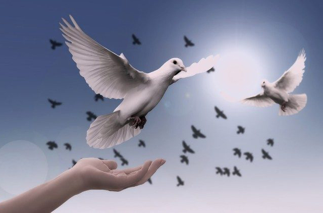 Caritas Quốc tế kêu gọi chấm dứt chiến tranh trên toàn thế giới