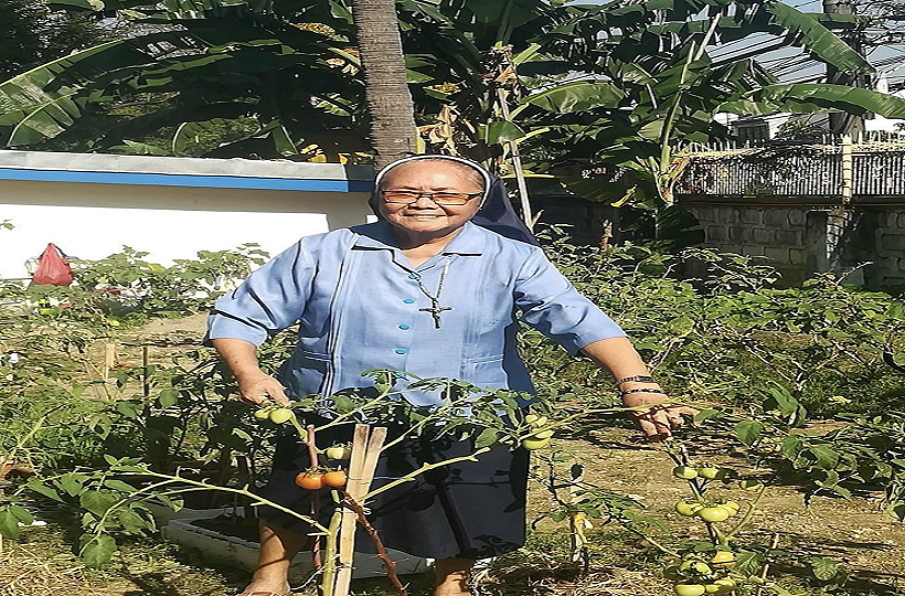 Cuộc Sống Hướng Về Laudato Si'