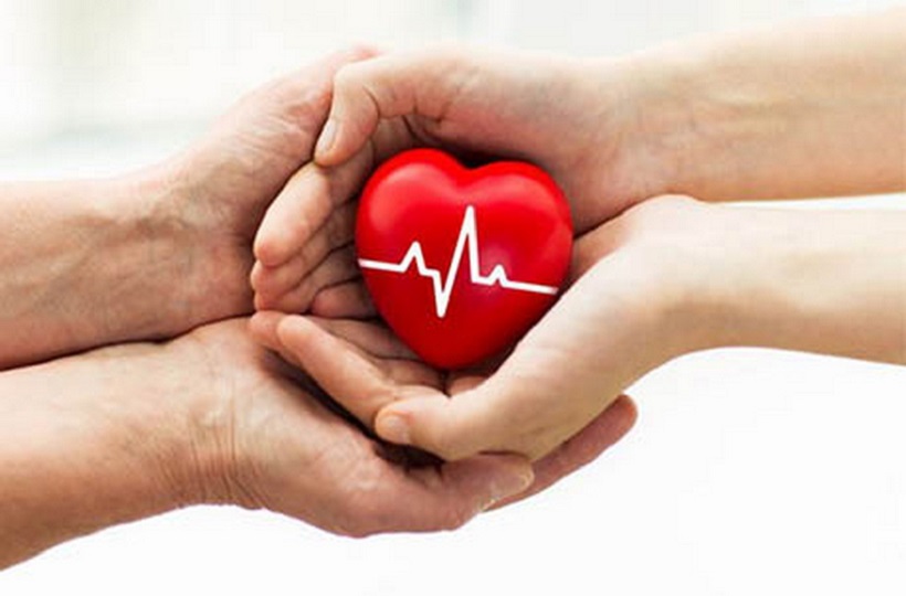 “Cho đi là còn mãi” – Hành trình lan tỏa tình yêu thương qua những nghĩa cử hiến tạng cao đẹp