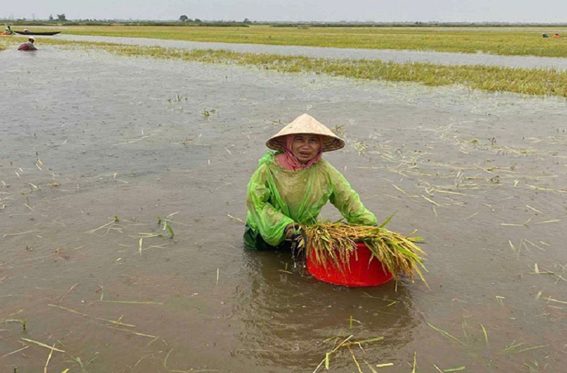 Caritas Huế: Thăm Khảo sát những thiệt hại sau bão lũ bất thường tại Giáo phận Huế
