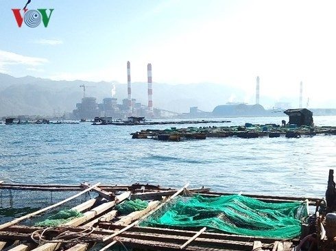 Công bố nguyên nhân cá chết hàng loạt gần nhiệt điện Vĩnh Tân: Ngư dân yêu cầu xét nghiệm lại