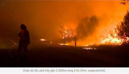 Nắng nóng bất thường ở Australia khiến 2.500 ha rừng bốc cháy dữ dội