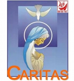 Nhịp cầu Caritas số 27