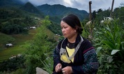 Cuộc tìm kiếm những cô dâu Việt bị bắt cóc sang Trung Quốc