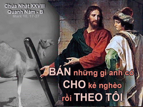 Tin và theo Chúa Giêsu - CN 28 B