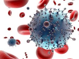 Tìm được siêu kháng thể giết 99% virus HIV