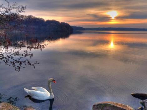 Giá trị của sự im lặng