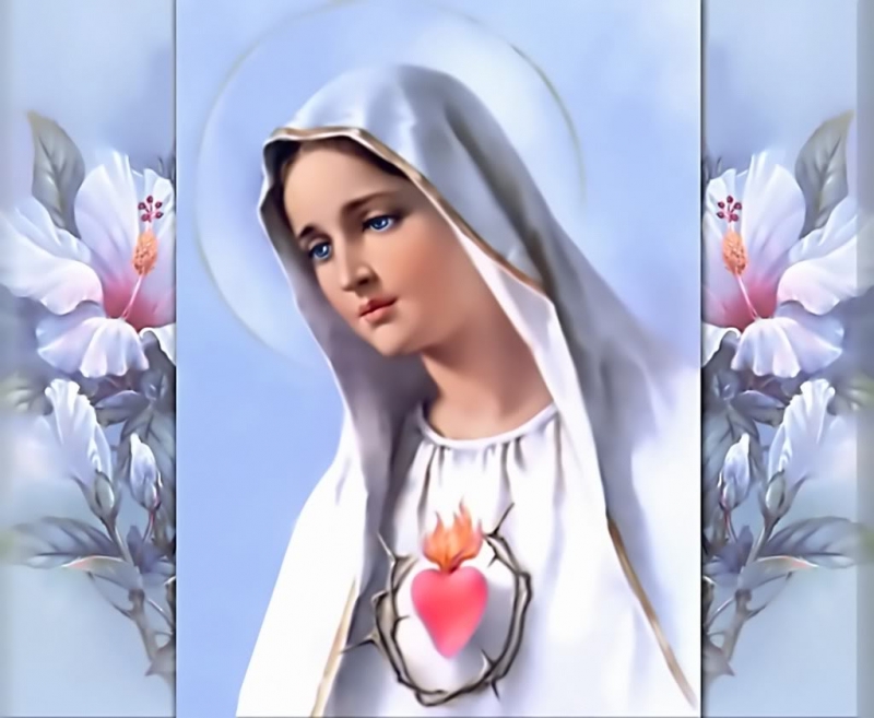 Muôn hoa dâng Mẹ