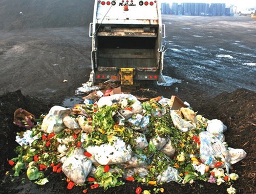 Châu Mỹ Latinh: 348 ngàn tấn lương thực bị lãng phí mỗi ngày