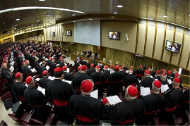 Giám đốc văn phòng truyền thông Vatican cho hay đã có một bầu khí “thanh thản và xây dựng”