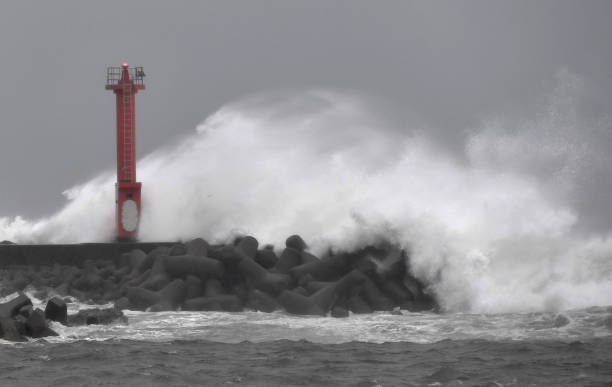 Vừa hết lũ lụt, Nhật Bản lại tiếp tục phải hứng chịu một trận báo lớn