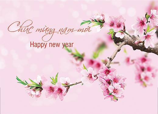 Caritas Việt Nam chúc mừng Năm Mới Ất Mùi 2015